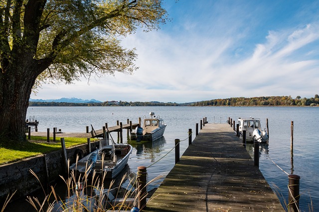 为我们带来 为我们带来