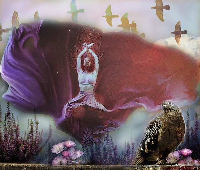 优质中药材 优质中药材