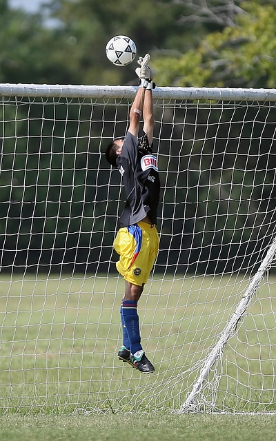 看到了未来 看到了未来