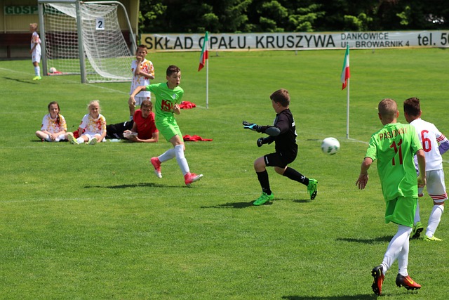 日职联东京绿茵VS京都不死鸟比分预测 东京绿茵渴望联赛首胜.